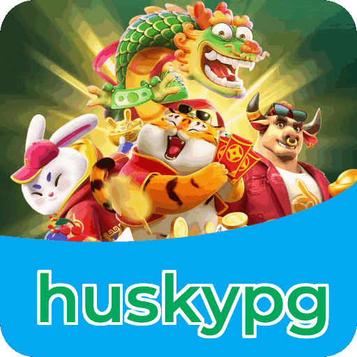 Métodos de pagamento aceitos na huskypg